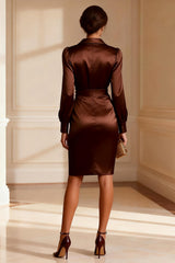 Long Sleeve Bodycon Chocolate Mother of the Bride Dress